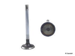OEM Intake Valve, 1.6 Diesel